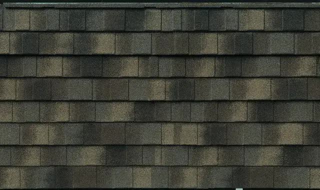 Solomon Brothers Construction Services Images