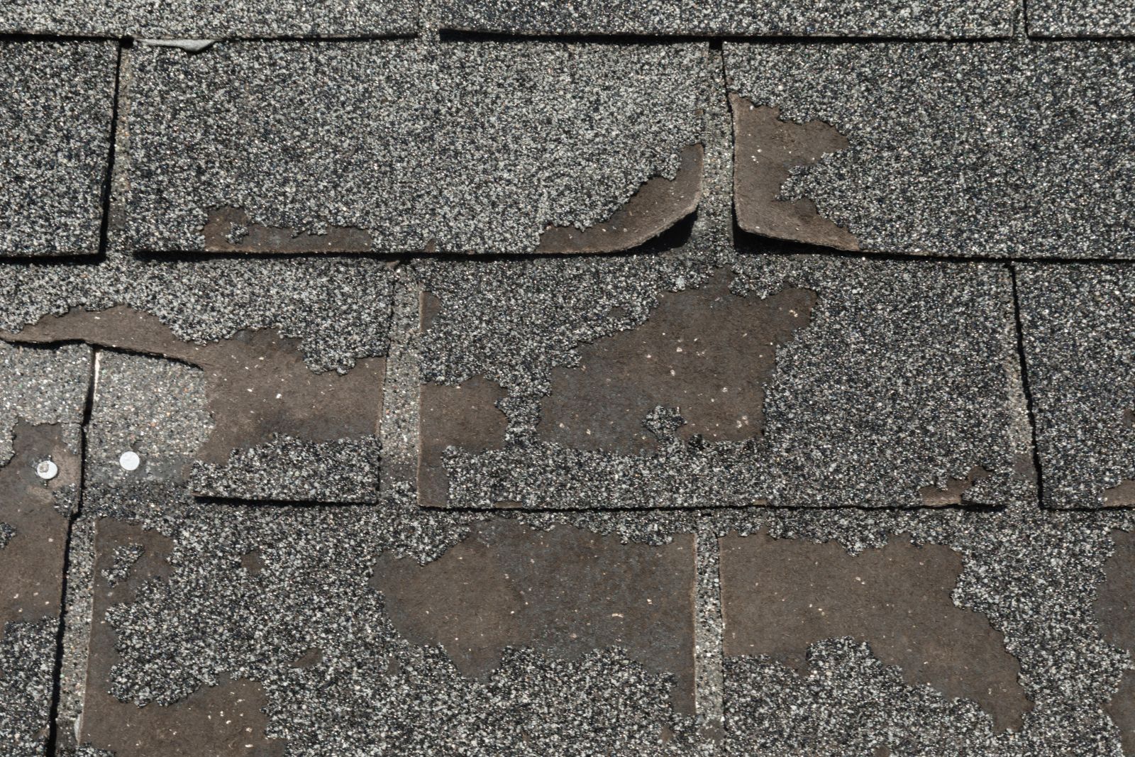 Solomon Brothers Construction Services Images