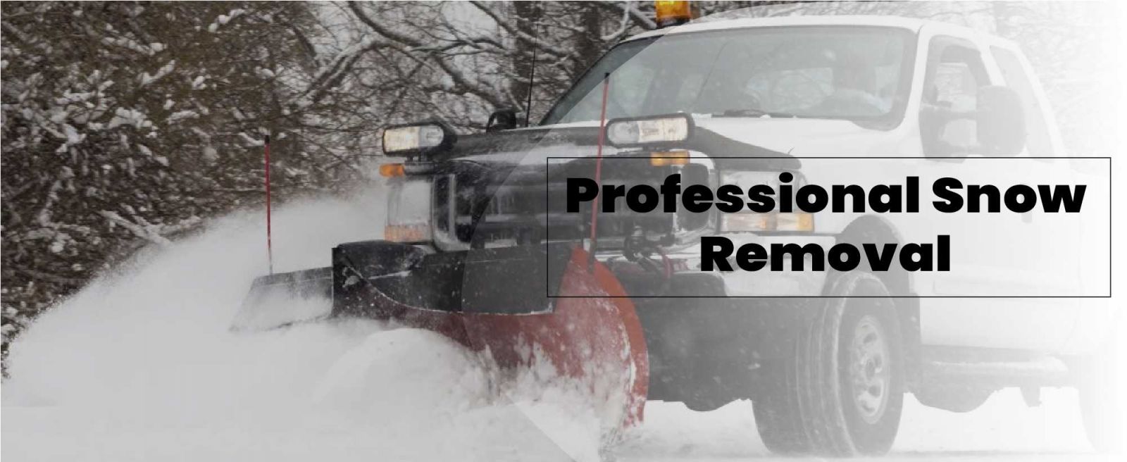 Solomon Brothers Construction Services Images