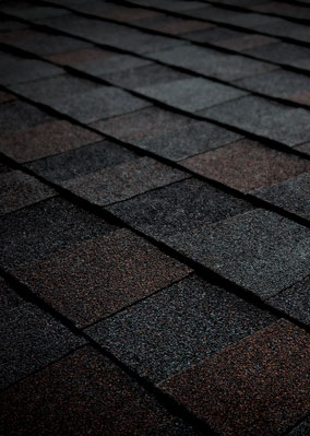 Solomon Brothers Construction Services Images