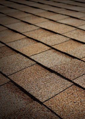 Solomon Brothers Construction Services Images