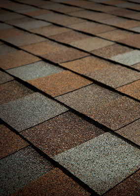 Solomon Brothers Construction Services Images