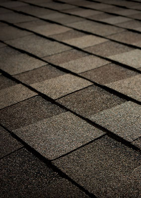 Solomon Brothers Construction Services Images