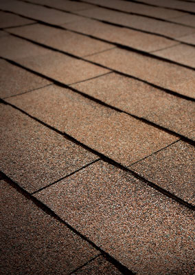 Solomon Brothers Construction Services Images